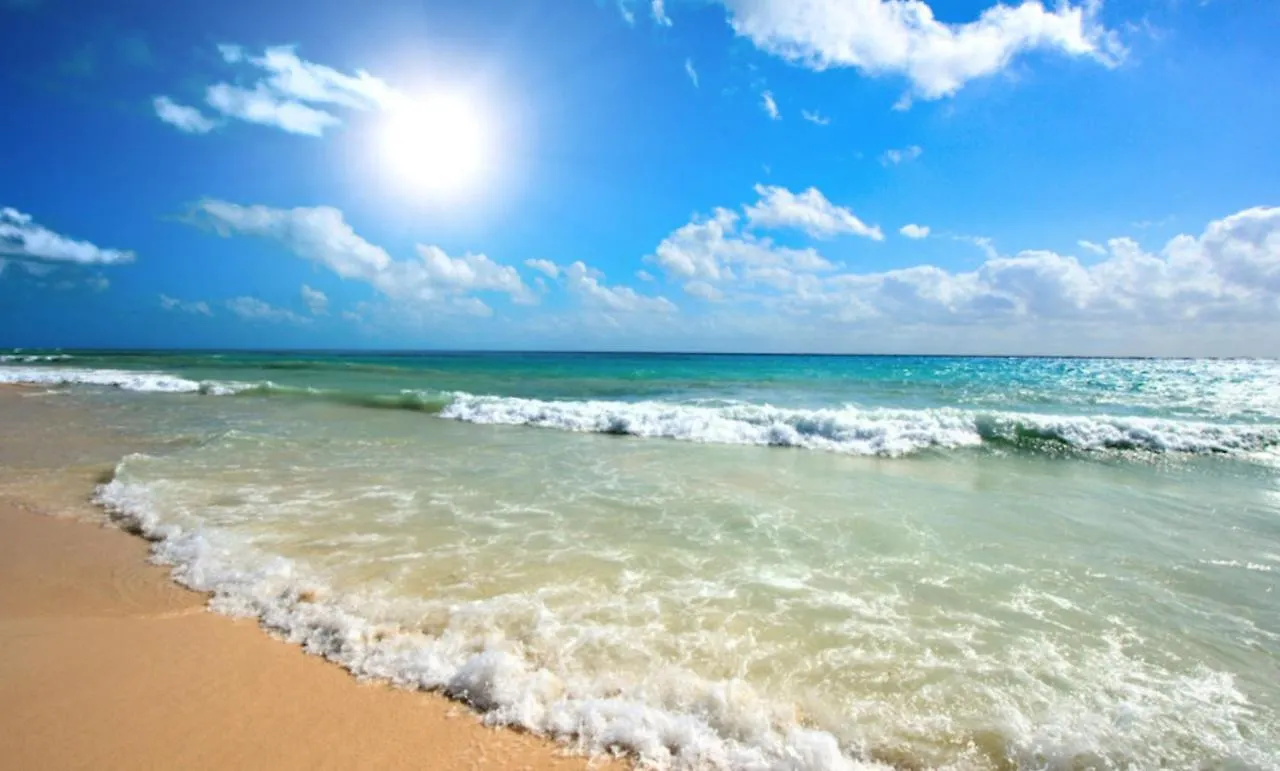 Amadeus XV 44 Studio Sunny Beach Centum Bulgaria