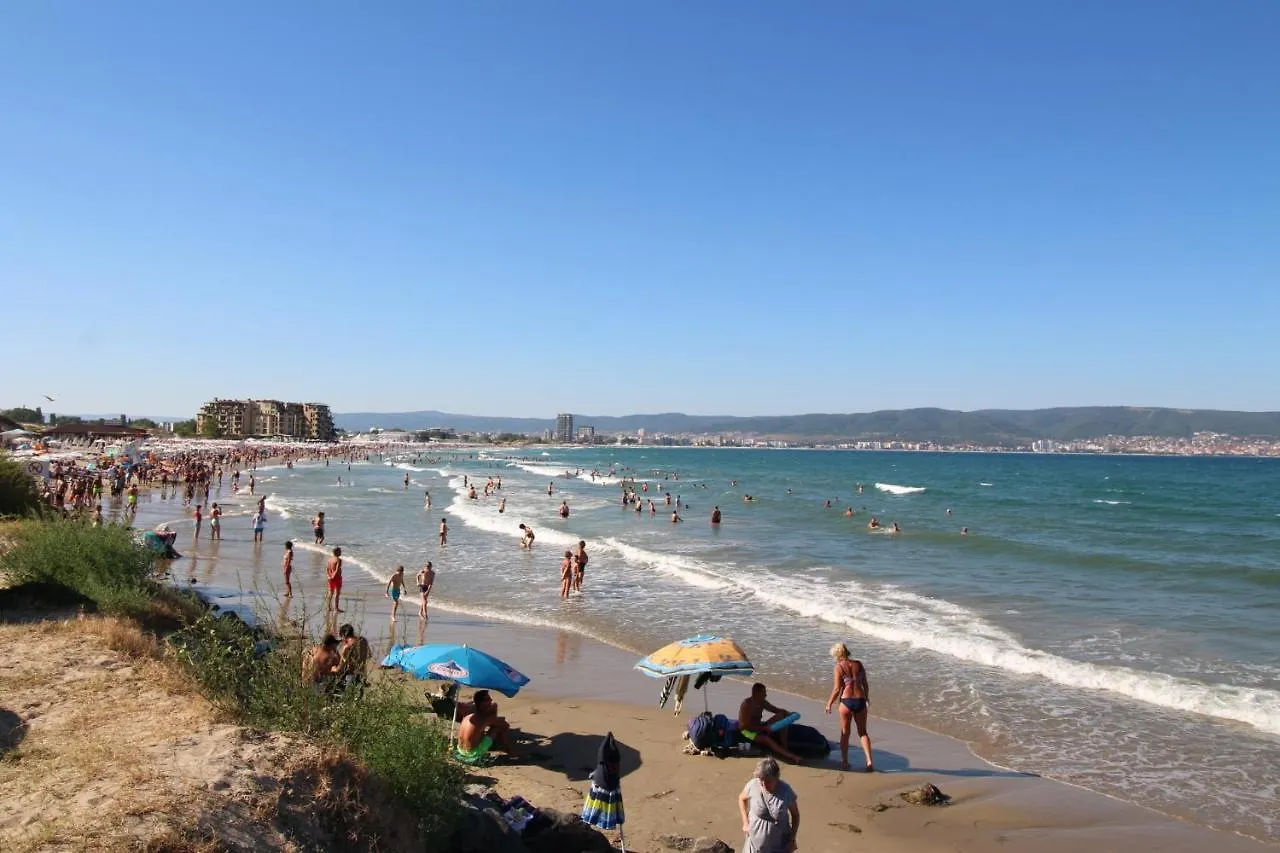 Amadeus XV 44 Studio Sunny Beach Centum